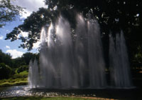 Darwin  Botanical Gardens