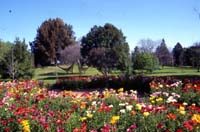 Adelaide Park Lands � Veale Gardens