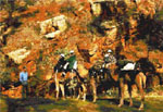 PICHI RICHI CAMEL TOURS